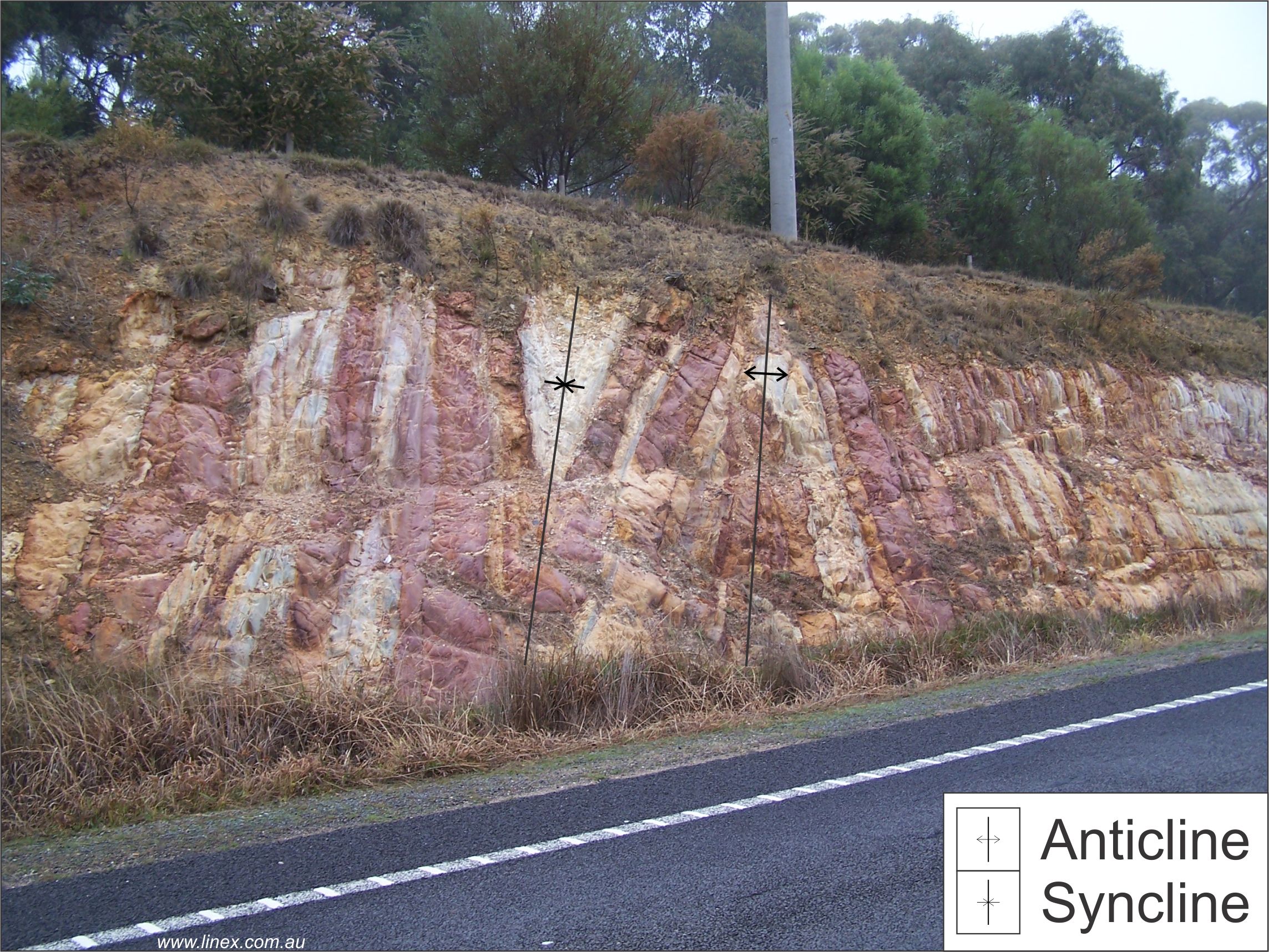 Blampied - Anticline and syncline